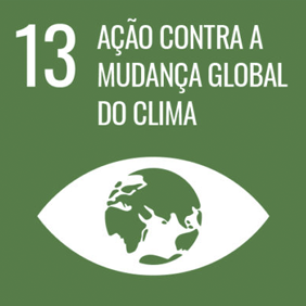objetivo-image