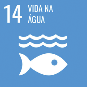 objetivo-image